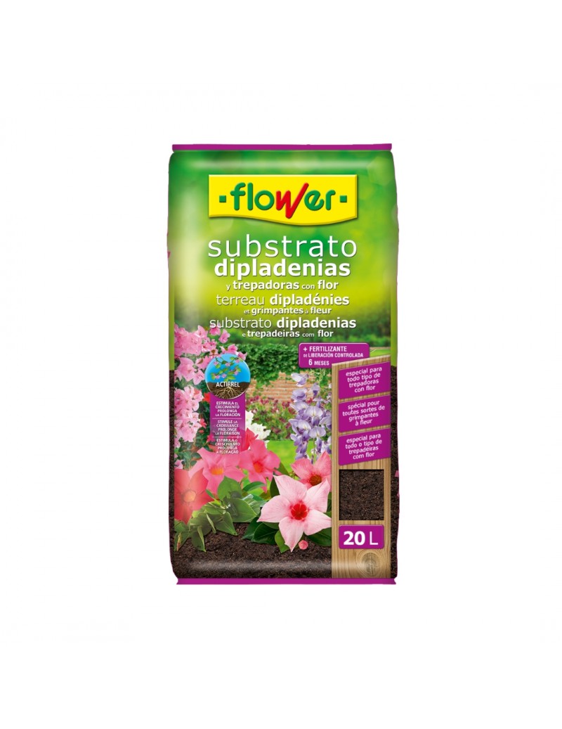 Sustrato dipladenias